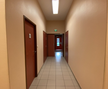 Location Local professionnel  pièce Saint-Amand-les-Eaux (59230)