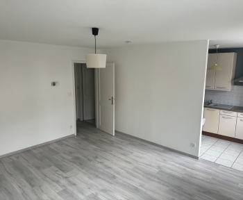 Location Studio 1 pièce Haguenau (67500)