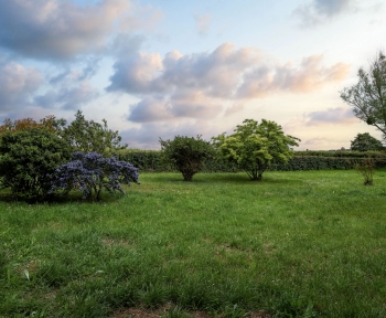 Location Maison 3 pièces Crézancy-en-Sancerre (18300)