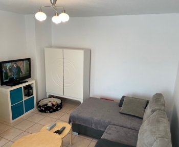 Location Appartement 2 pièces Hochfelden (67270)