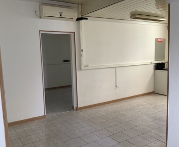 Location Local professionnel 4 pièces Ensisheim (68190)